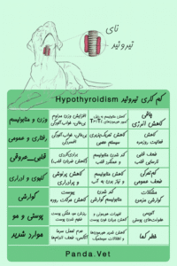 کم کاری تیروئید