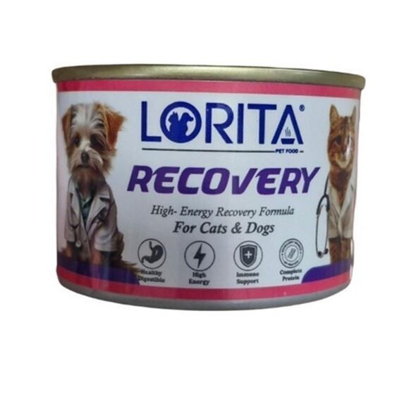 recoverLorita 1 580x580